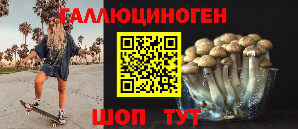 Псилоцибиновые грибы Psilocybine cubensis Канск